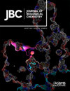 JOURNAL OF BIOLOGICAL CHEMISTRY