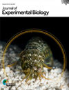 BRITISH JOURNAL OF EXPERIMENTAL BIOLOGY