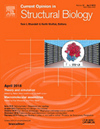 CURRENT OPINION IN STRUCTURAL BIOLOGY