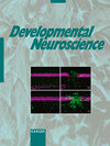 DEVELOPMENTAL NEUROSCIENCE