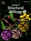 Journal of Structural Biology: X