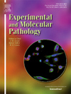 EXPERIMENTAL AND MOLECULAR PATHOLOGY