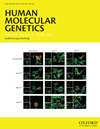 HUMAN MOLECULAR GENETICS