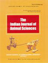 INDIAN JOURNAL OF ANIMAL SCIENCES