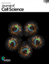 JOURNAL OF CELL SCIENCE