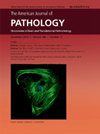 AMERICAN JOURNAL OF PATHOLOGY