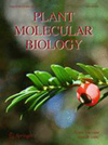 PLANT MOLECULAR BIOLOGY