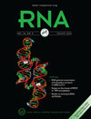 RNA