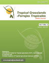 Tropical Grasslands