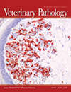 VETERINARY PATHOLOGY